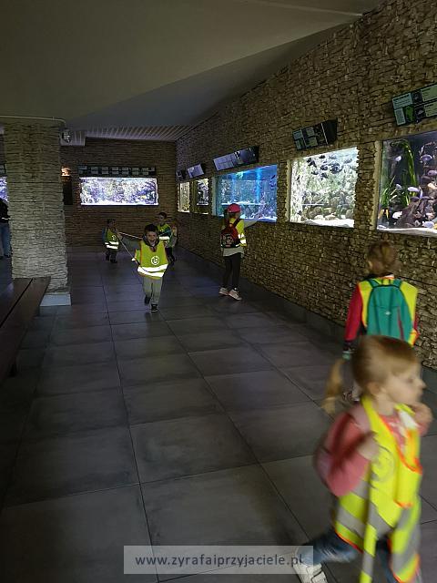 IMG 20190531 103105 1