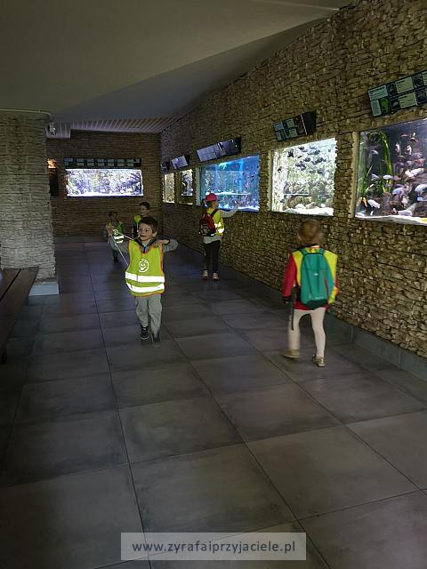 IMG 20190531 103106