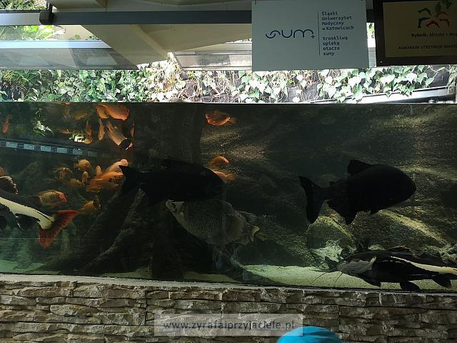 IMG 20190531 103121
