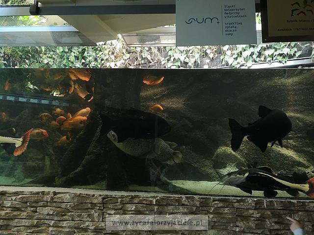 IMG 20190531 103122