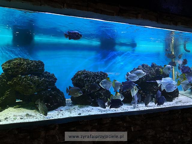 IMG 20190531 103140