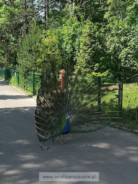 IMG 20190531 103323