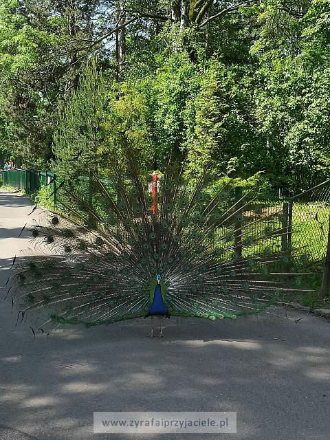 IMG 20190531 103324