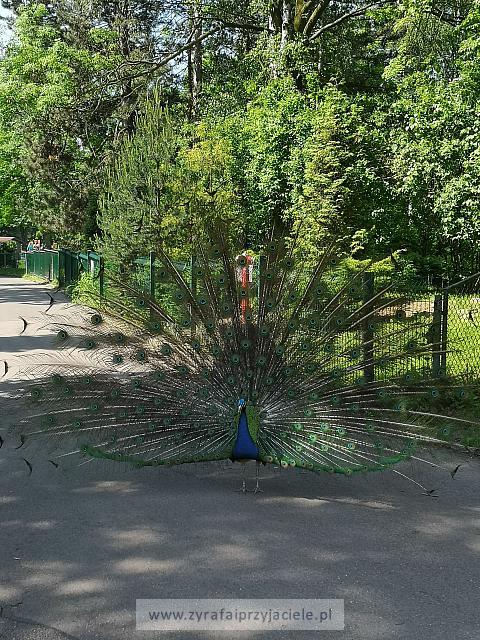 IMG 20190531 103325