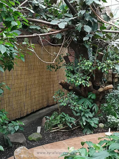 IMG 20190531 104559