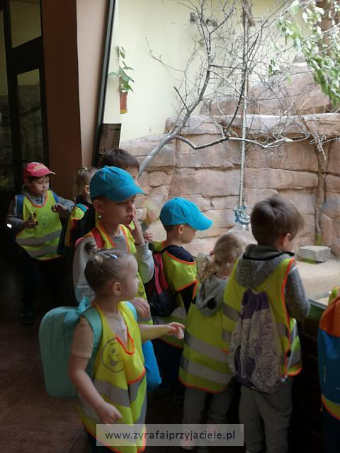 IMG 20190531 104733