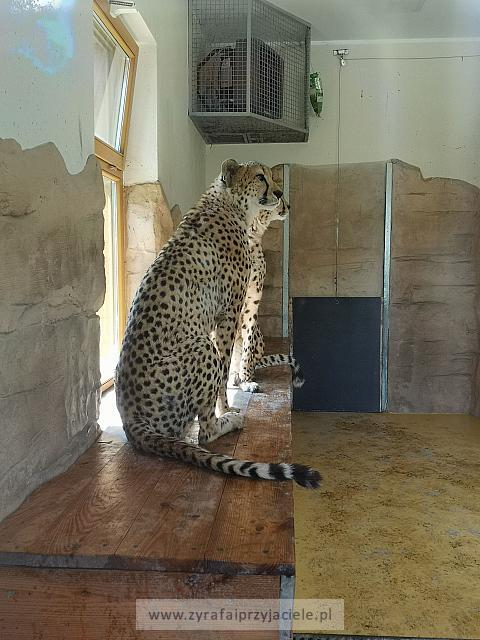 IMG 20190531 105214