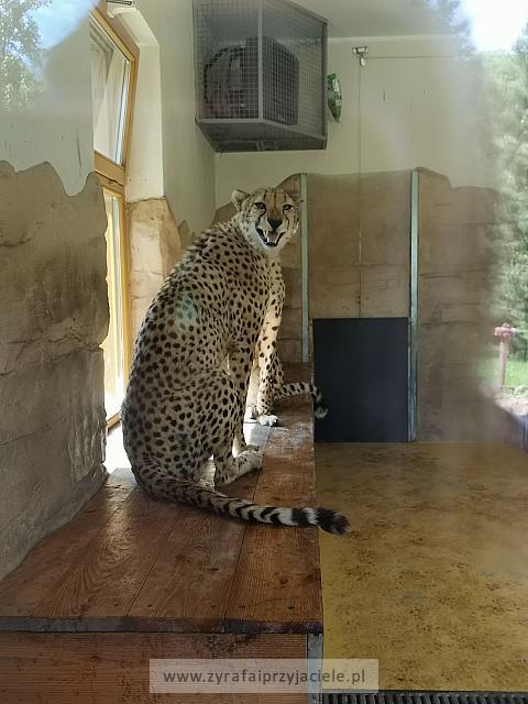 IMG 20190531 105222