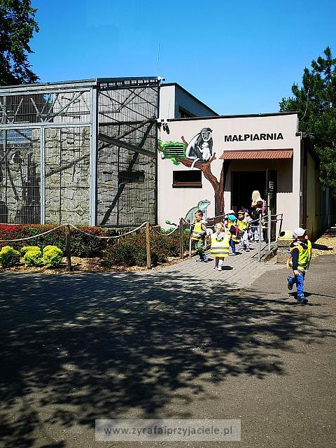 IMG 20190531 105859