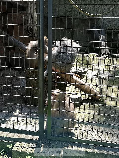 IMG 20190531 105936