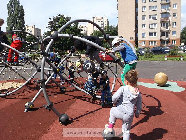 DSCF3519
