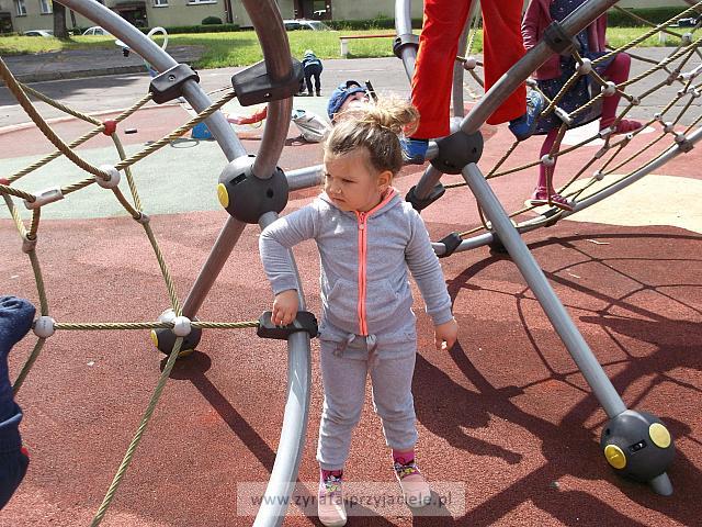 DSCF3524