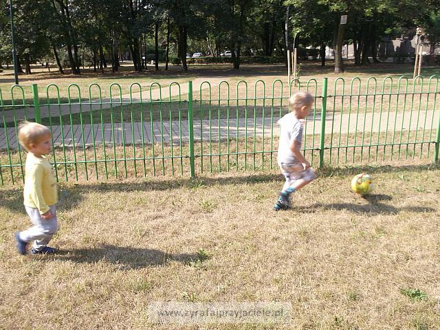 DSCF5079