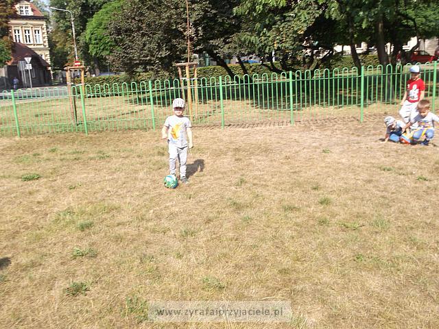 DSCF5084