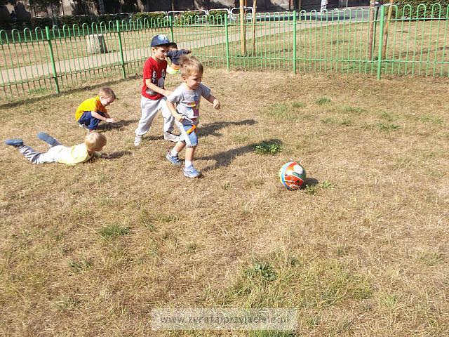 DSCF5087