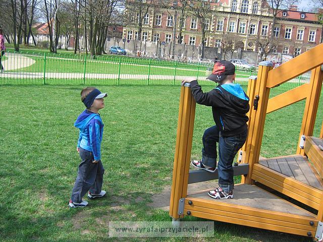 IMG 1196