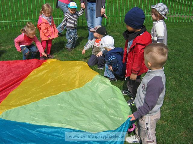 IMG 1201