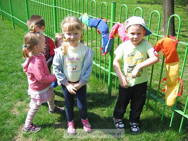 IMG 1226