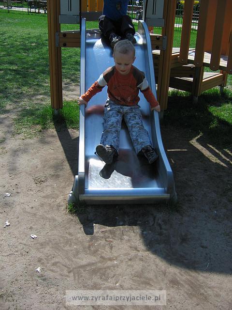 IMG 1230