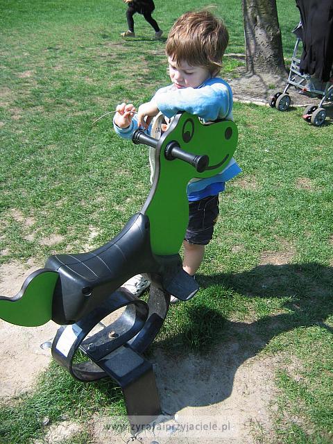 IMG 1233
