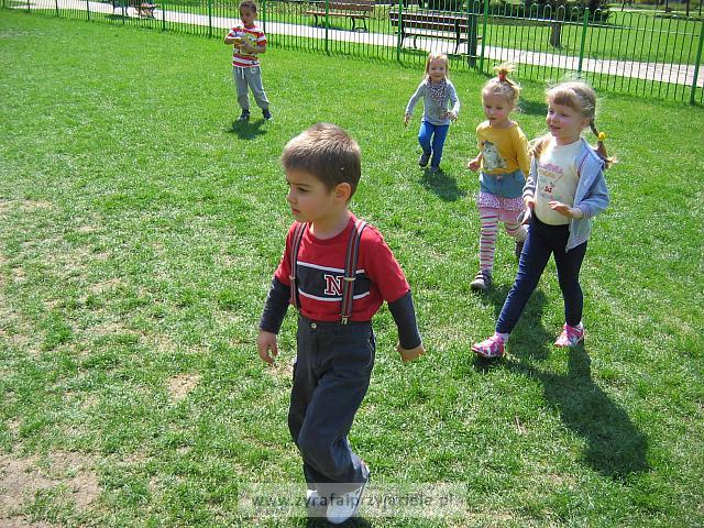 IMG 1240