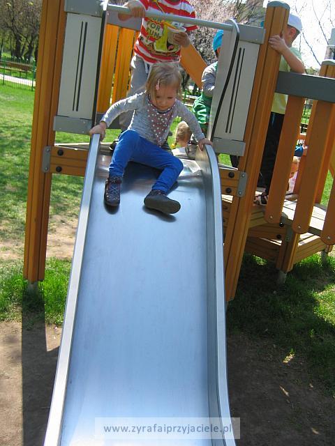 IMG 1242