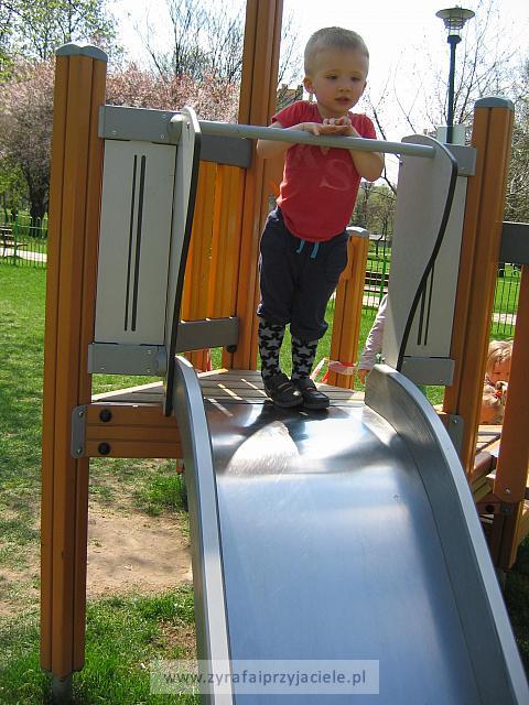 IMG 1252