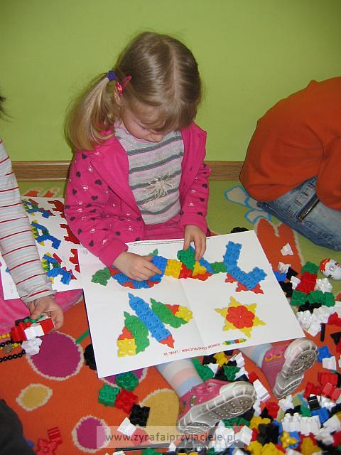 IMG 5274