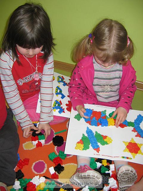 IMG 5275