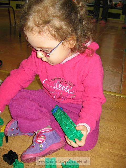 IMG 5281