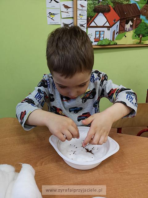 IMG 20190411 093114