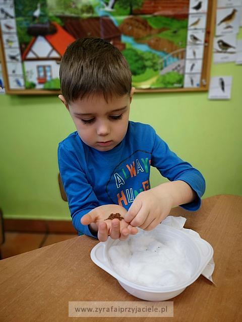 IMG 20190411 093122