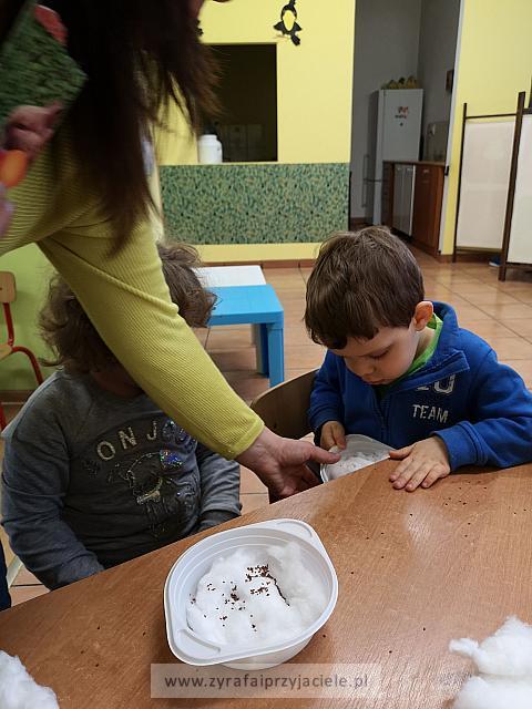 IMG 20190411 093202