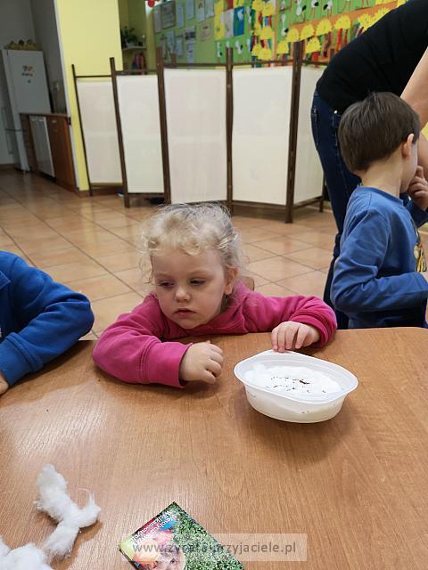 IMG 20190411 093205