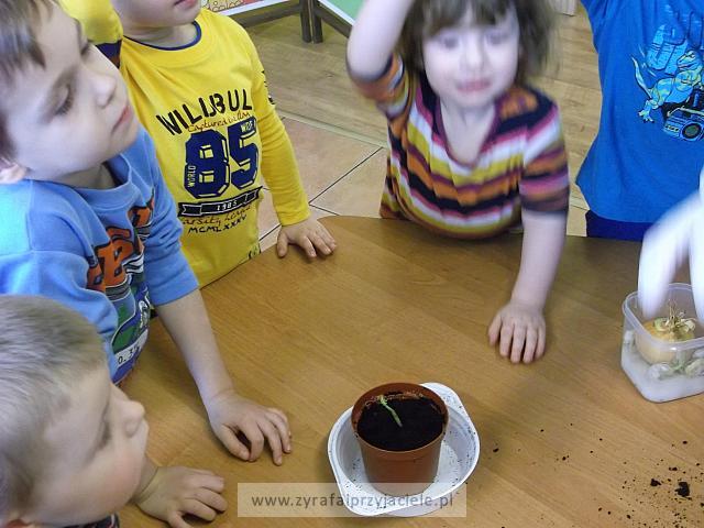 DSCF2493