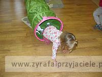 IMG 7935