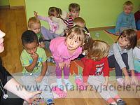 IMG 7955