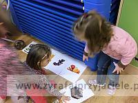DSCF6749