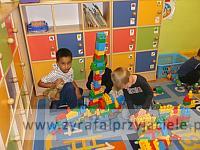 DSCF8194