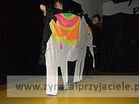 DSCF8217