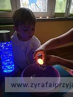 IMG 20201127 100949