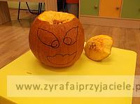 DSCF8995