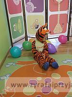 DSCF5078
