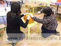 DSCF6481