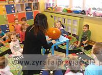 DSCF2467