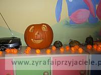 DSCF2566