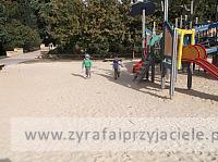 DSCF8929