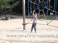 DSCF8950