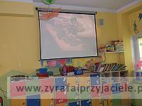 DSCF4566