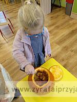 IMG 20201103 112633